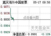 嘉实海外